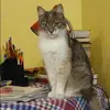 Отзыв от Алевтина Евдокимова